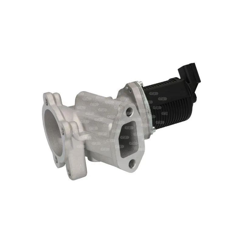 Valvola EGR FIAT Doblo Fiorino Panda Punto: 55184651, 55201144, 55201144, 55201144 Valvola EGR FIAT Doblo Fiorino Panda Punto: 55184651, 55201144, 55201144, 55201144