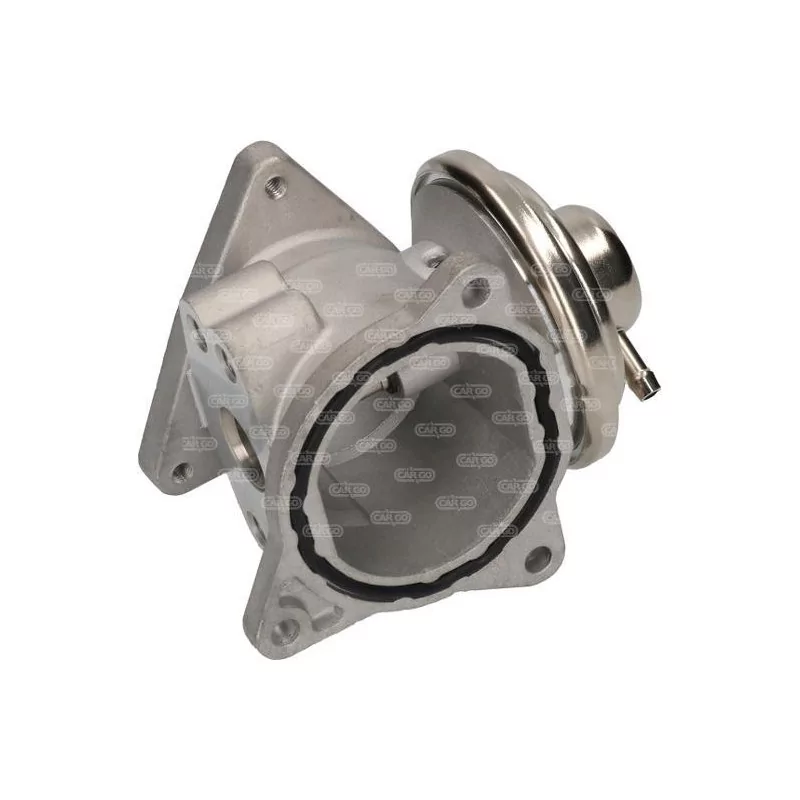 EGR valve VOLKSWAGEN Bora Golf Jetta Passat Polo Touran: 038131501AF, 038131501AN, 038131501S, MN980163 EGR valve VOLKSWAGEN Bora Golf Jetta Passat Polo Touran: 038131501AF, 038131501AN, 038131501S, MN980163