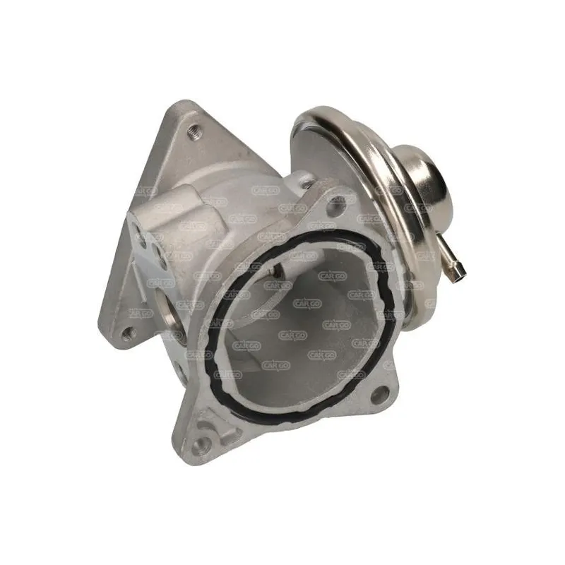 Válvula EGR VOLKSWAGEN Bora Golf Jetta Passat Polo Touran: 038131501AF, 038131501AN, 038131501S, MN980163 Válvula EGR VOLKSWAGEN Bora Golf Jetta Passat Polo Touran: 038131501AF, 038131501AN, 038131501S, MN980163