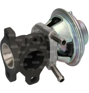 Válvula EGR FIAT Ducato: 504150396, 6040005450, 71793031