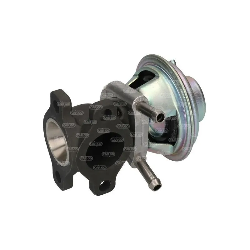 Válvula EGR FIAT Ducato: 504150396, 6040005450, 71793031 Válvula EGR FIAT Ducato: 504150396, 6040005450, 71793031