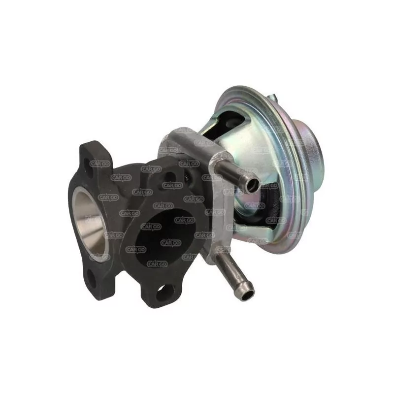 Valvula EGR FIAT Ducato: 504150396, 6040005450, 71793031 Valvula EGR FIAT Ducato: 504150396, 6040005450, 71793031