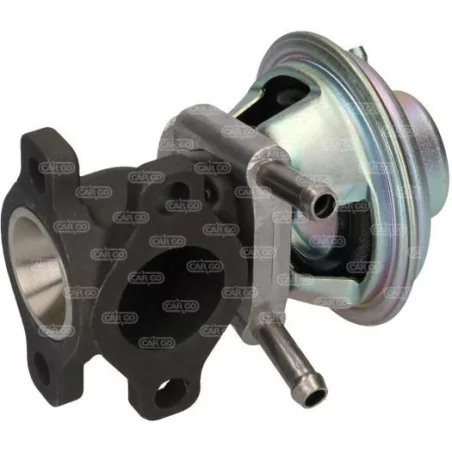 Vanne EGR FIAT Ducato: 504150396, 6040005450, 71793031