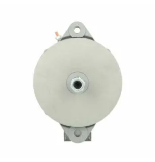 Lichtmaschine Caterpillar 95A Caterpillar 0R4841 Denso 1012118340 Denso 1012118341