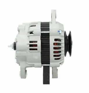Lichtmaschine Chevrolet 65A Bosch Ruil 0986049051 Cargo 111847 16201114