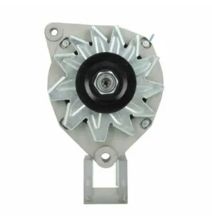 Alternatore Citroen / Peugeot 55A Bosch 0120489163 Bosch 0120489164 Bosch 0120489193