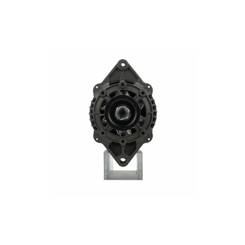 Alternatore Cummins 95A Hyster 1637805 Remy 19020208 2406342 Alternatore Cummins 95A Hyster 1637805 Remy 19020208 2406342