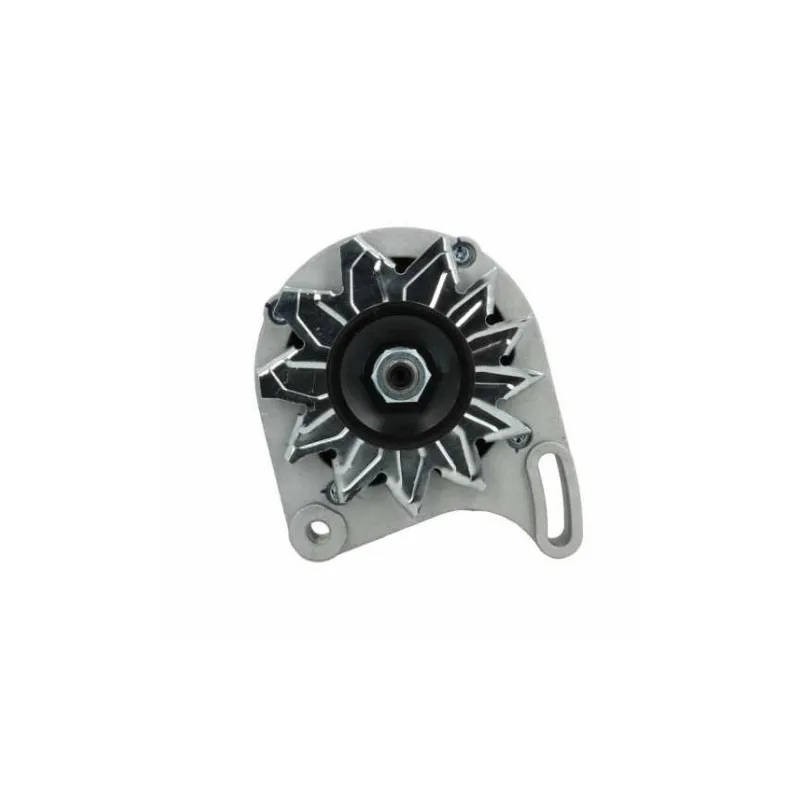 Fiat 55A alternator