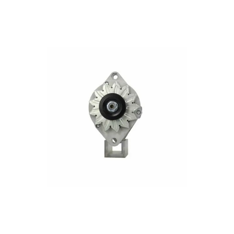 Fiat 55A alternator Fiat 55A alternator
