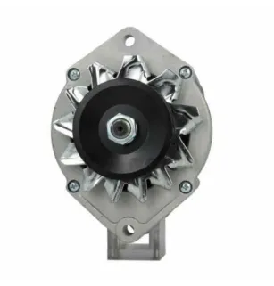 Alternatore Iveco 80A