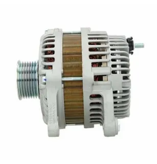 Lichtmaschine Nissan 110A Bosch Ruil 0986082730 Cargo 116009 PSH 165516110