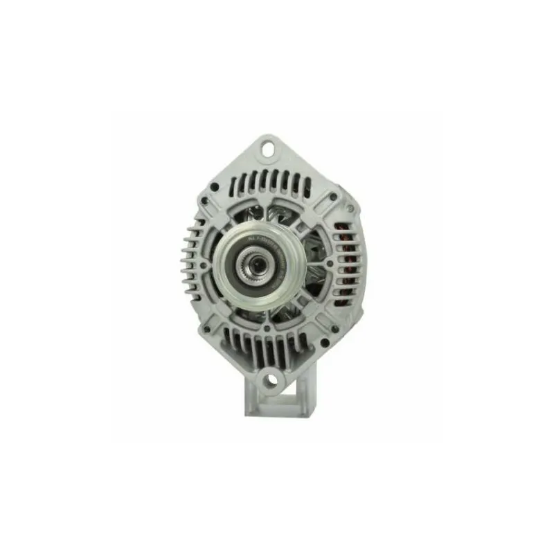 Alternatore Renault 120A Valeo 2542645A Valeo 2542646 Valeo 2542646C Alternatore Renault 120A Valeo 2542645A Valeo 2542646 Valeo 2542646C