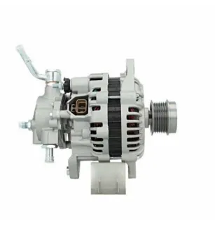 Alternatore Suzuki 100A Andre Niermann 028411 PSH 185602100