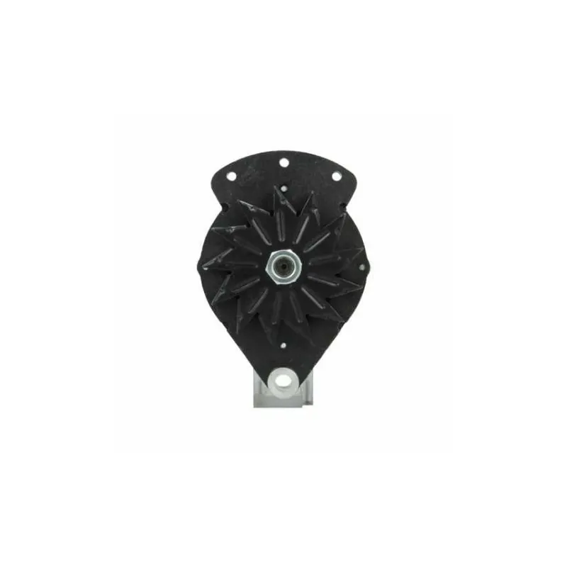 Lichtmaschine Thermoking 65A Cargo 110400 Cargo 110600 PIC 210407 Lichtmaschine Thermoking 65A Cargo 110400 Cargo 110600 PIC 210407