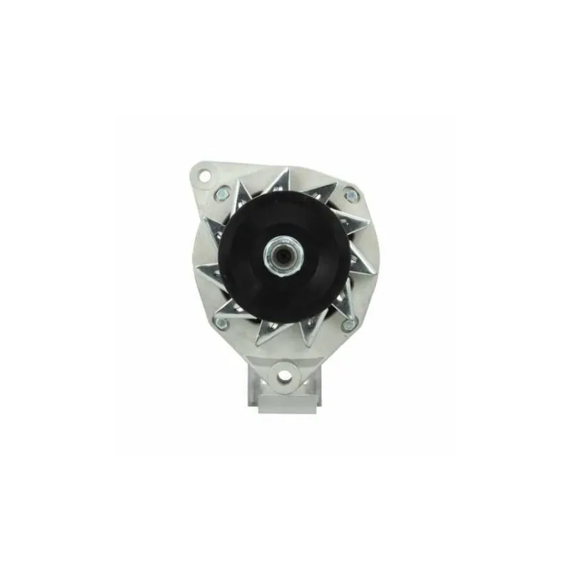 Lichtmaschine Thermoking 70A Lester 12459 Cargo 241290 Valeo 2542276