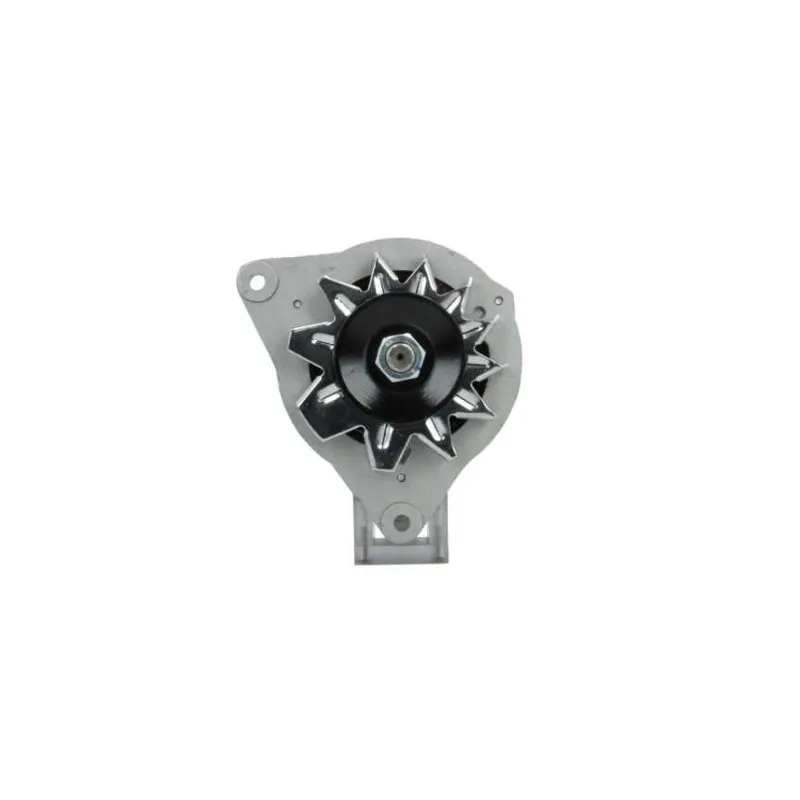 Alternatore Mahle 11201067 Mahle 11201676 Lester 17ACR Alternatore Mahle 11201067 Mahle 11201676 Lester 17ACR