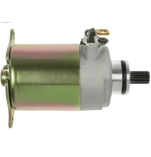 Démarreur 12V 9 dents AS-PL UD19035S, DELCO RS41088, ALANKO 10439097, ARROWHEAD SCH0002, J&N 410-58003
