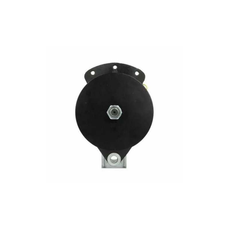 Lichtmaschine Caterpillar 35A 0106000047 Cargo 110285 Lester 20150 Lichtmaschine Caterpillar 35A 0106000047 Cargo 110285 Lester 20150