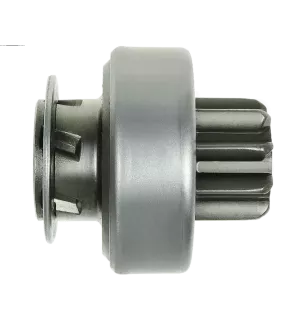 Pignon / Starterwerfer für DELCO 8000387, 89017523, 9000856, 9000
