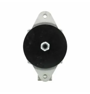 Alternador Caterpillar 60A Remy 1117612 Remy 1117613 Remy 1117628