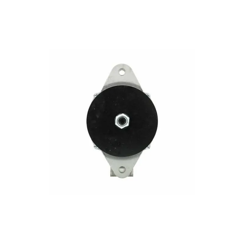 Alternador Caterpillar 60A Remy 1117612 Remy 1117613 Remy 1117628 Alternador Caterpillar 60A Remy 1117612 Remy 1117613 Remy 1117628