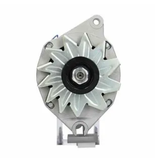 Alternatore Citroen / Peugeot 55A Bosch 0120488214 Bosch 0120488215 Bosch 0120489157