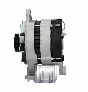 Alternatore Citroen / Peugeot 55A Bosch 0120488214 Bosch 0120488215 Bosch 0120489157