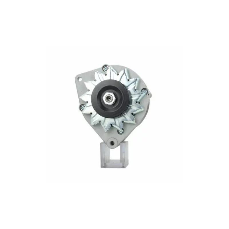 Alternateur Deutz 65A Bosch 0120489756 Bosch ruil 0986031330 Mahle 11201570