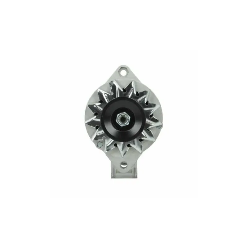 Lichtmaschine Fiat 35A Bosch 0120488252 Bosch 0120488253 Bosch 0120489410 Lichtmaschine Fiat 35A Bosch 0120488252 Bosch 0120488253 Bosch 0120489410