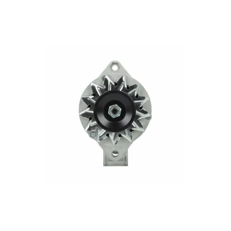Lichtmaschine Fiat 35A Bosch 0120488252 Bosch 0120488253 Bosch 0120489410 Lichtmaschine Fiat 35A Bosch 0120488252 Bosch 0120488253 Bosch 0120489410