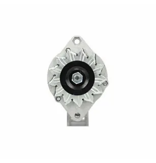 Alternatore Fiat 55A Bosch 0120489107 Bosch 0120489146 Bosch 0120489147