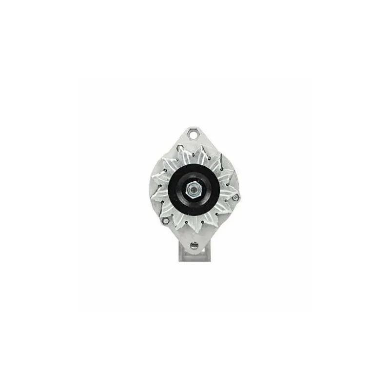Alternatore Fiat 55A Bosch 0120489107 Bosch 0120489146 Bosch 0120489147 Alternatore Fiat 55A Bosch 0120489107 Bosch 0120489146 Bosch 0120489147