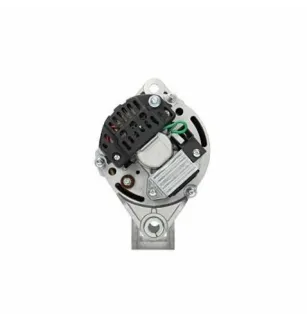 Alternatore Fiat 55A Bosch 0120489107 Bosch 0120489146 Bosch 0120489147