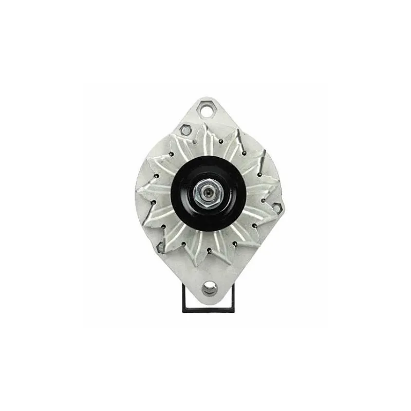 Alternatore Fiat 65A Bosch 0120488152 Bosch 0120488221 Bosch 0120488254 Alternatore Fiat 65A Bosch 0120488152 Bosch 0120488221 Bosch 0120488254