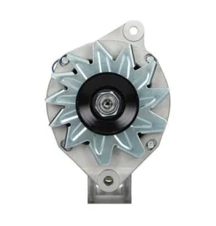 Alternatore Peugeot 50A, Bosch 0120489456, Bosch 0120489457, Bosch ruil 0986033980, Bosch ruil 0986033981