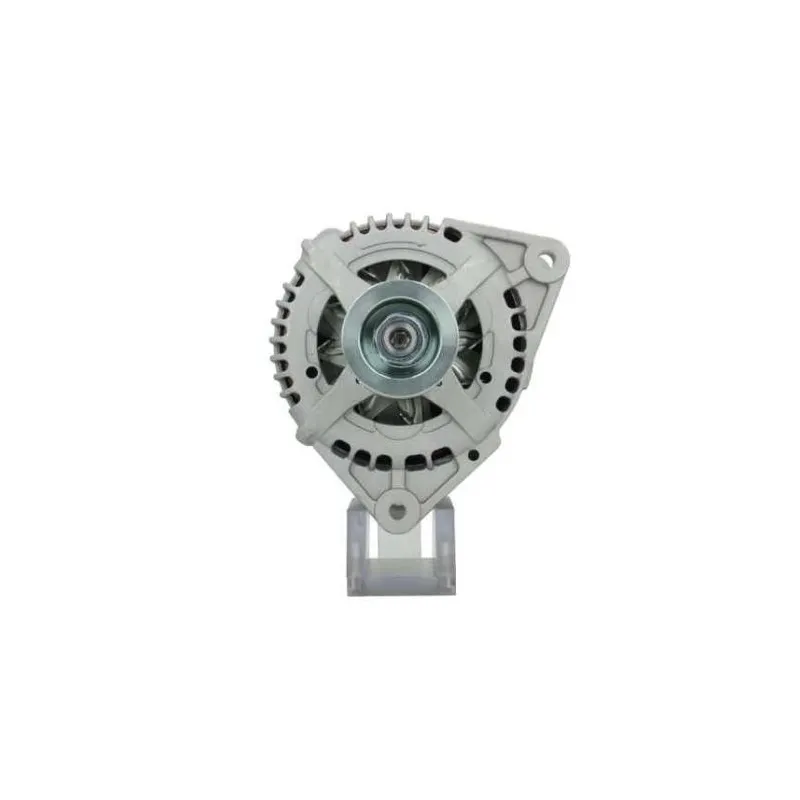 Lichtmaschine Range Rover 100A, Bosch ruil 0986080830, Lester 13697, Lester 13725, Lester 13727