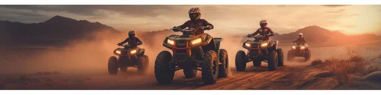 Démarreur Quad : Arctic Cat, Yamaha