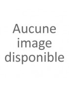 Catalyseur pas cher